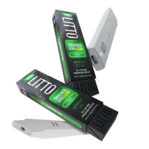 Litto Disposable Vape – 2 Gram